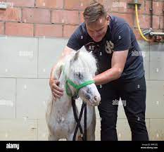 Se puede hablar sin subirse siquiera al pony.